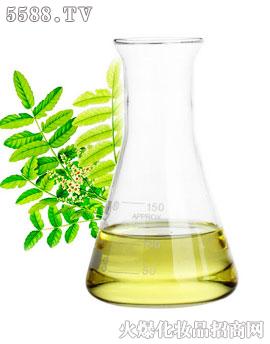 �V��ʢ������(x��)�������޹�˾���\���þo�wͨ�j(lu��)��Ħ����