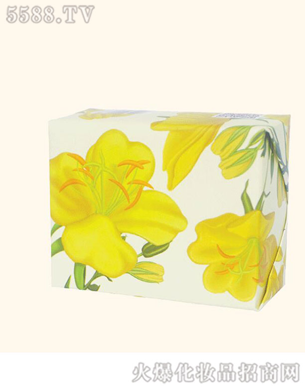 �����������Ƽ����޹�˾�������Ҋ���ֹ���