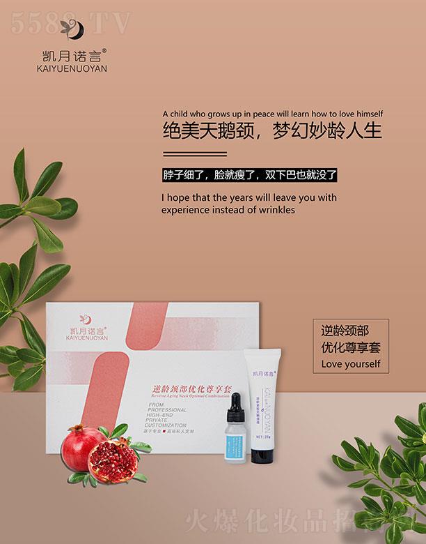 ���ՄP֮�����Q���޹�˾���P���Z�����g�i����(y��u)��������