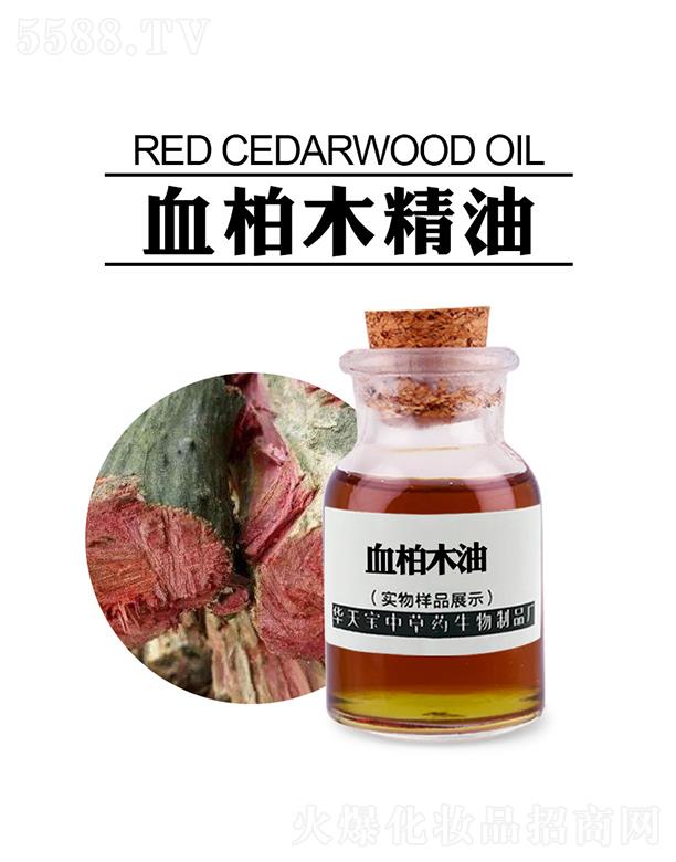 �������A�쌚�в�ˎ������Ʒ�S���A�쌚Ѫ��ľ��