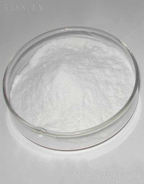 �ɶ������������޹�˾������-9/������/������