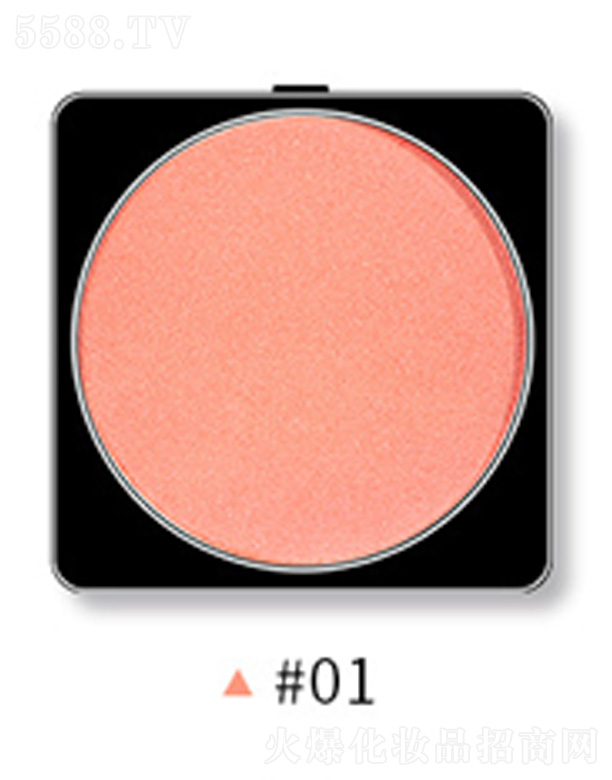 �㽭�����Ƽ����޹�˾�����t��Q�b-01