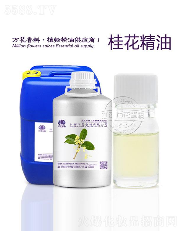 �����f���������޹�˾���f���𻨾���