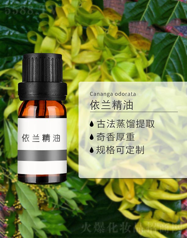 ����ɭ����Ƽ�(���u)���޹�˾�����m����