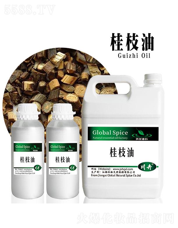 �����h(hu��n)����Ȼ�������޹�˾���h(hu��n)���֦��