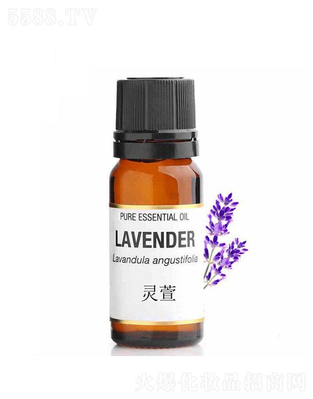 �V�|����Ԋ����Ƽ����޹�˾���V�|����Ԋ�`��޹�²ݾ���