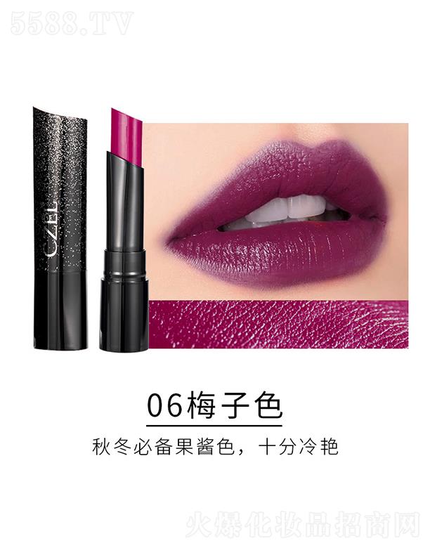 �㽭���`�Pˢ���޹�˾��CZEL���������ʽz������06÷��ɫ