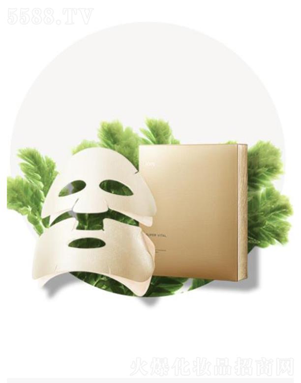 ��(��i)����̫ƽ���Q(m��o)�����޹�˾�����Z�̼��������Ĥ �o���N��Ę�����l���M(j��n)����