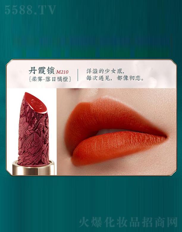 �����˸񻯊yƷ���޹�˾��������ͬ���i�ڼt M210��ϼ�i�����ճ��٣� ͬ���i�ڼt�p�����F