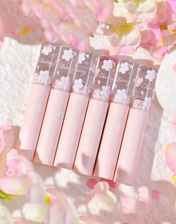 �K���K�����Q(m��o)�����޹�˾���K���K����   HOLDLIVE���ѽq�F�ѻ�����    �����@��