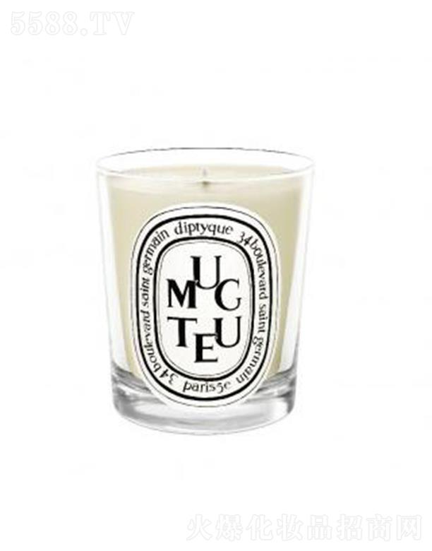 ���֣��Ϻ����Q�����޹�˾��diptyque���Ϟ�T-��m