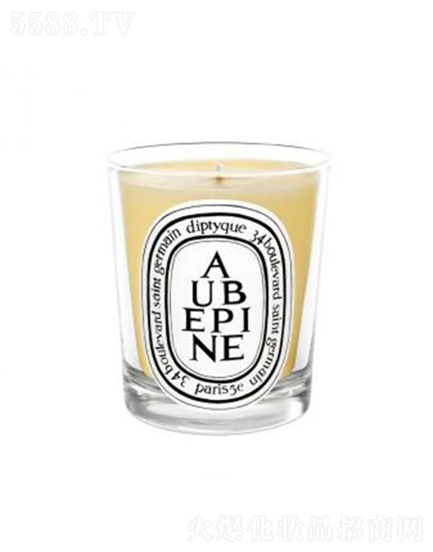 ���֣��Ϻ����Q�����޹�˾��diptyque���Ϟ�T-ɽ�