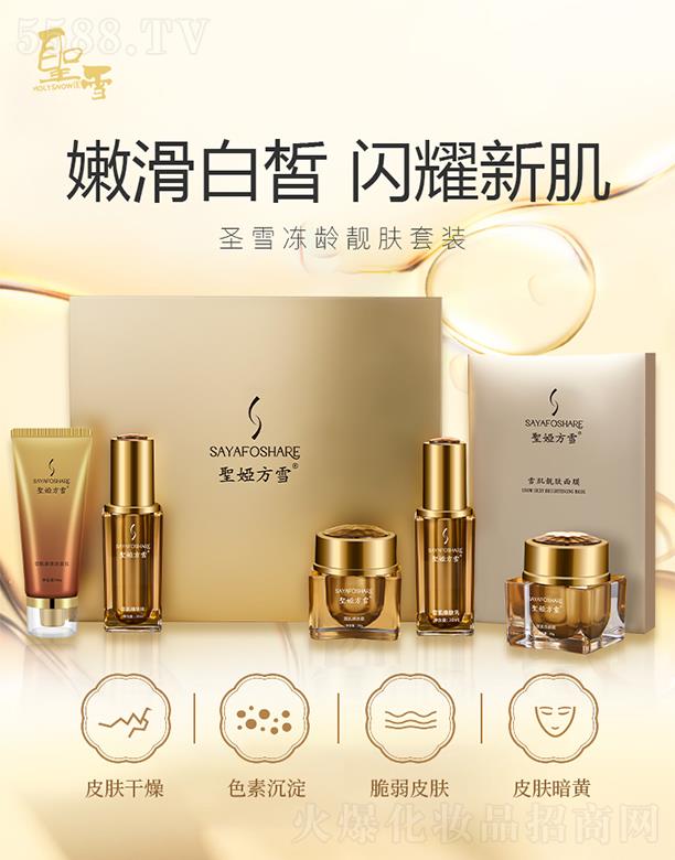 ʥѩ����عɣ����ڣ����޹�˾���}�I��ѩ���g�n�w���b