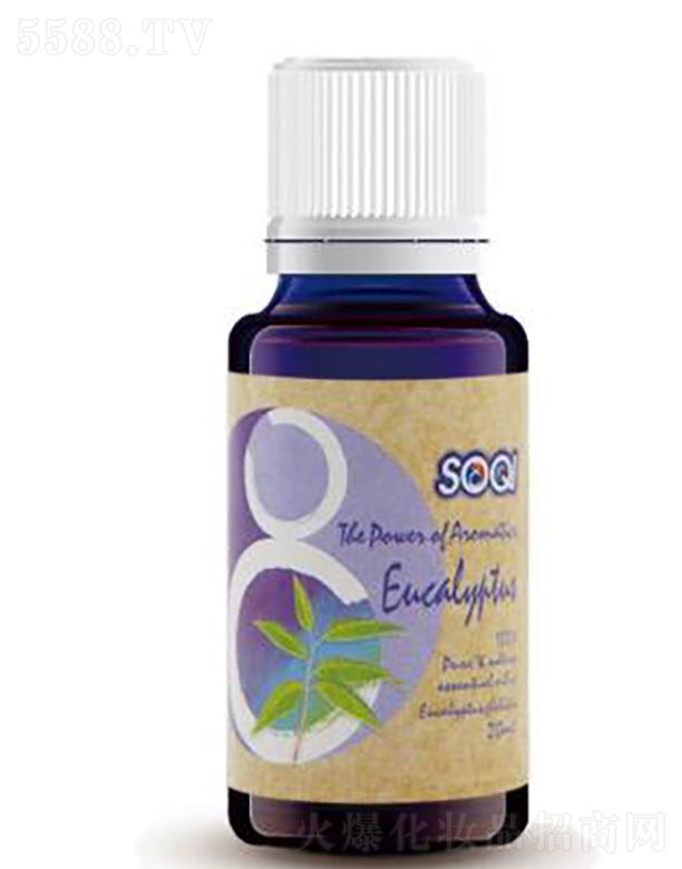 ����������������Ʒ���Q���޹�˾��SOQI�η����͡����ȼ�������