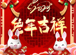 玉兔送福，開門大吉！廣東微肽給您拜年了！