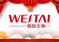 金龍送福，開門大吉！廣州微肽給您拜年了！