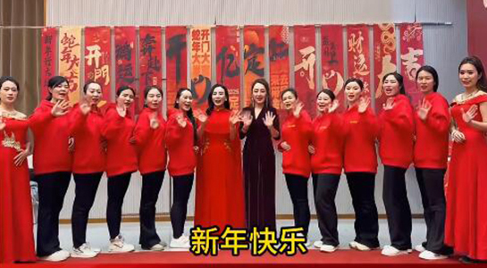 蛇年好運(yùn)至，幸福滿人間！飛斯達(dá)祝您百事從歡，一路向陽！