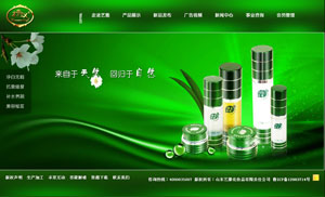 ɽ�|ˇ�Ż��yƷ����؟(z��)�ι�˾