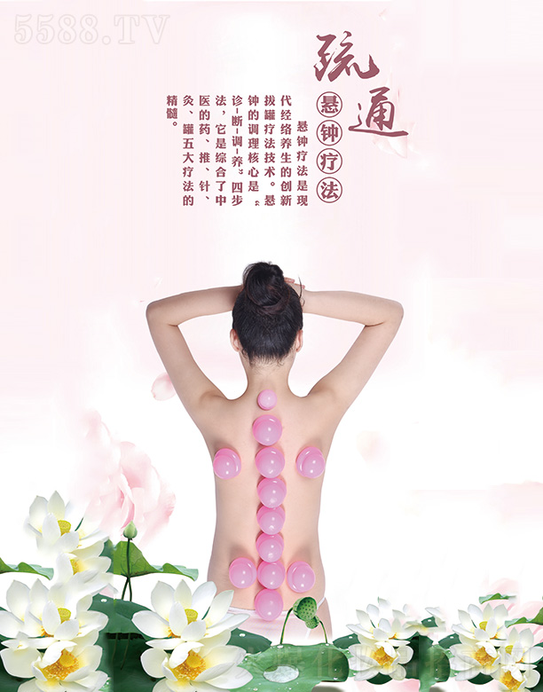 �����G��Դ�t(y��)ˎ���g(sh��)�_(k��i)�l(f��)���޹�˾���A٢�ĺ�(ji��n)��(l��)�ĵ�������b