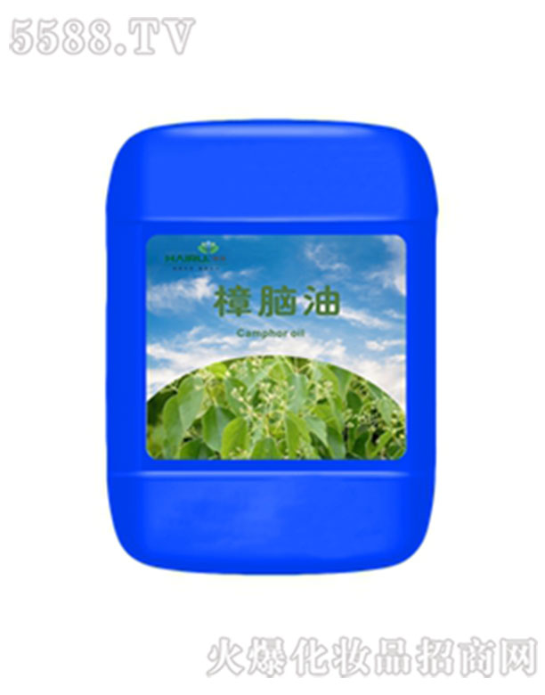 �������X����