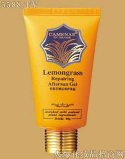 ���Ę����ʲݕ�����o����