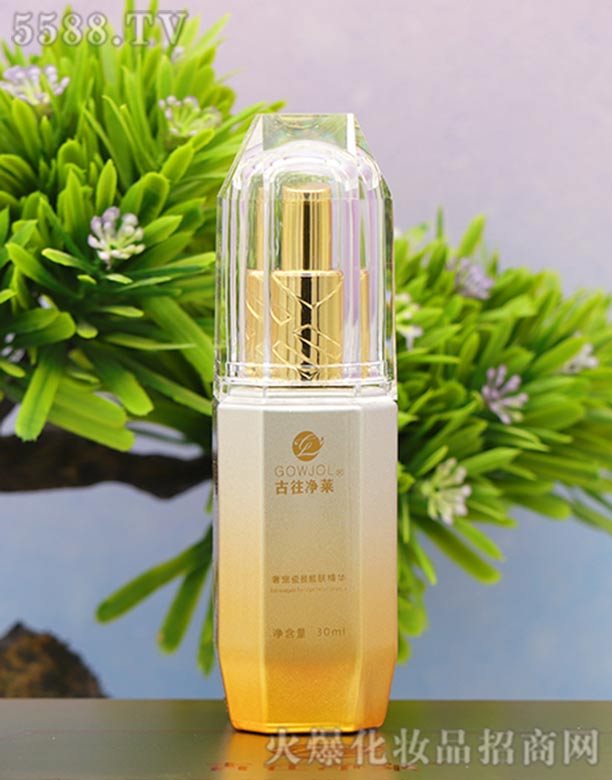 �������R�݌�����n�w���A