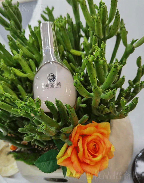 ���ݷ����ݱ�����