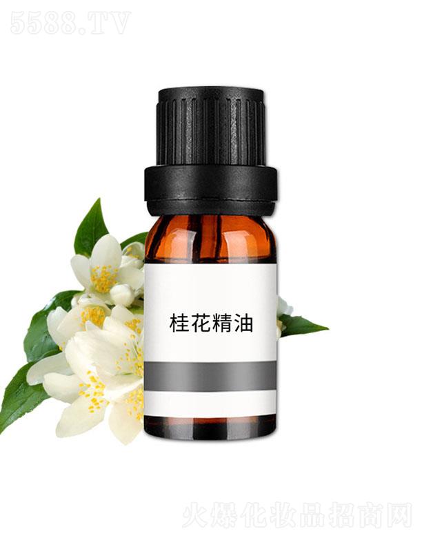 ���n�𻨾���