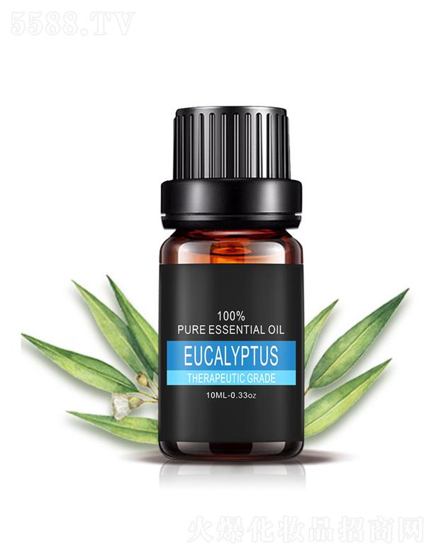 ��������侫��