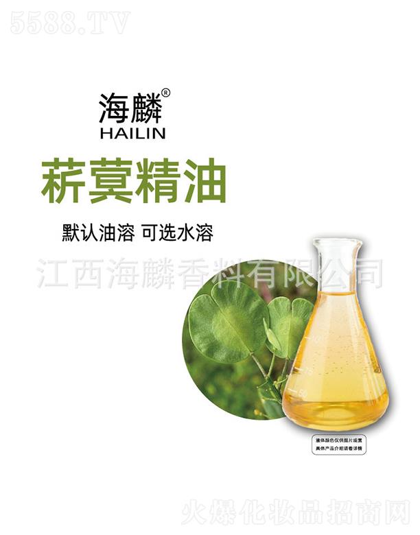 ����ݾ�q����