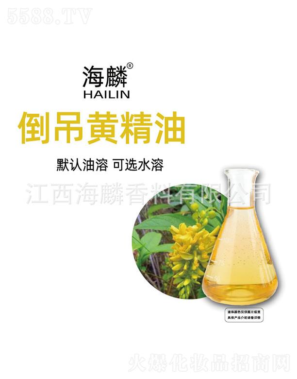 ���뵹���S����