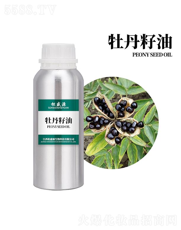 ��ʢԴĵ������