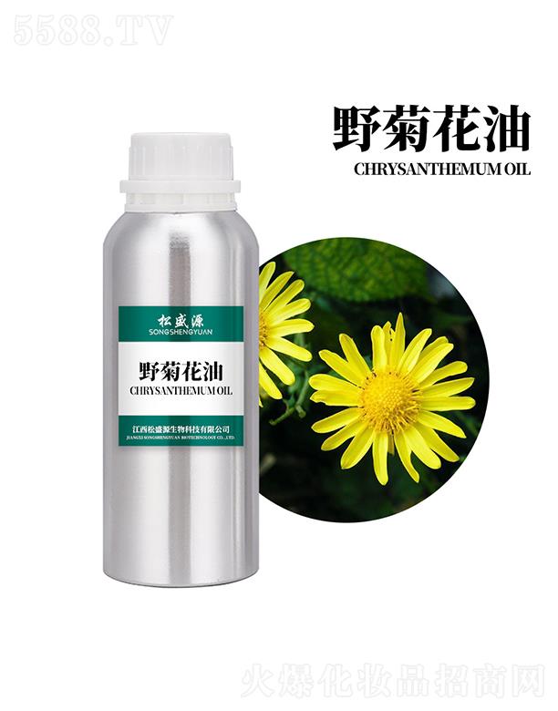 ��ʢԴҰ�ջ���