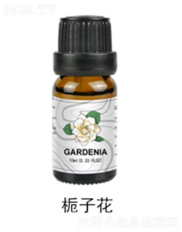 �d�ӻ���޹����