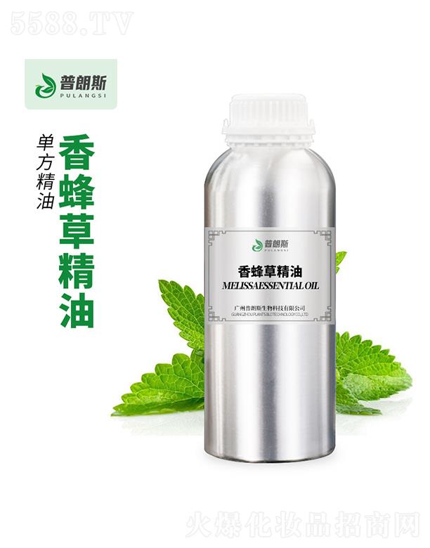 ����˹���ݾ���