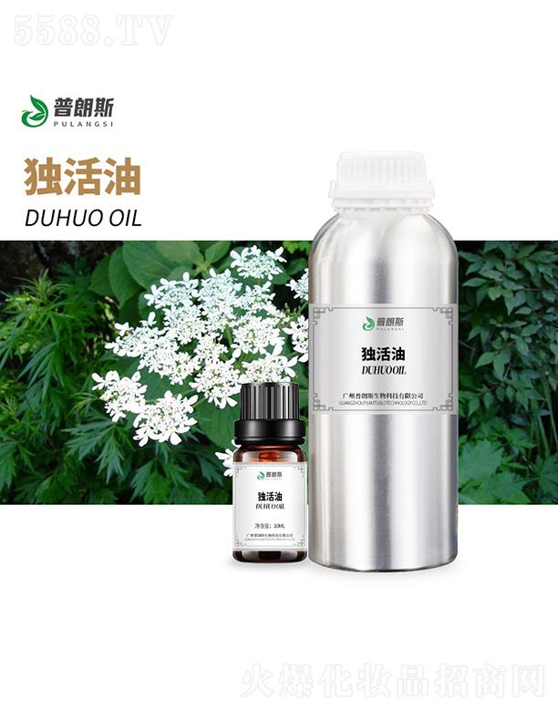 ����˹��(d��)����