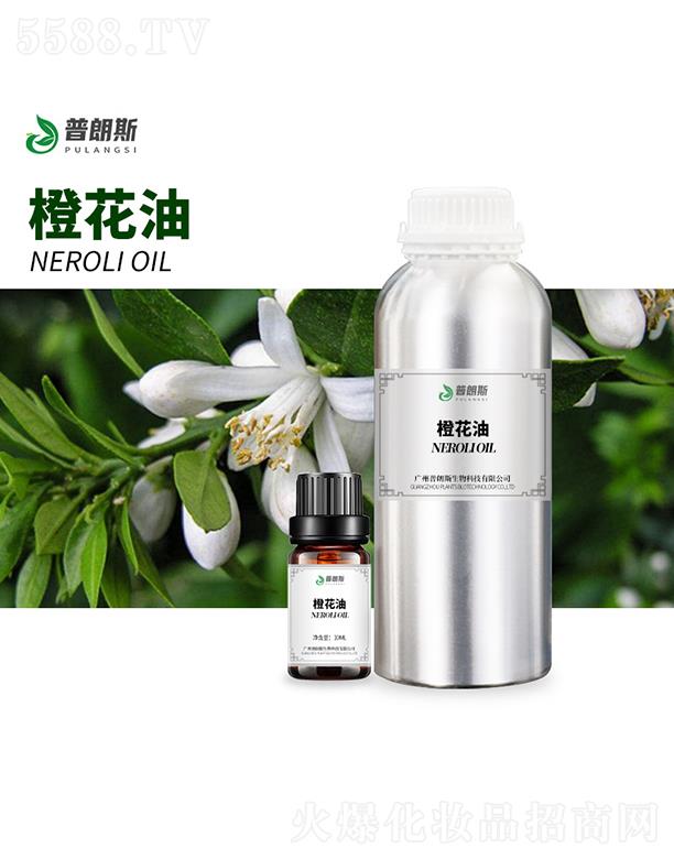 ����˹�Ȼ���