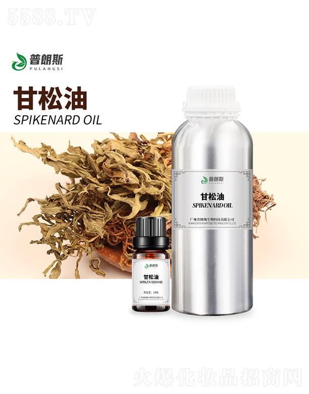 ����˹������