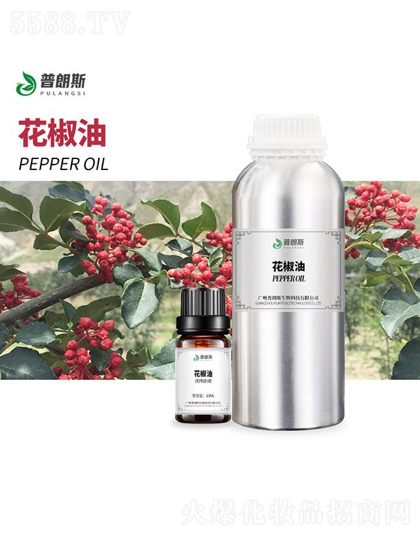 ����˹������