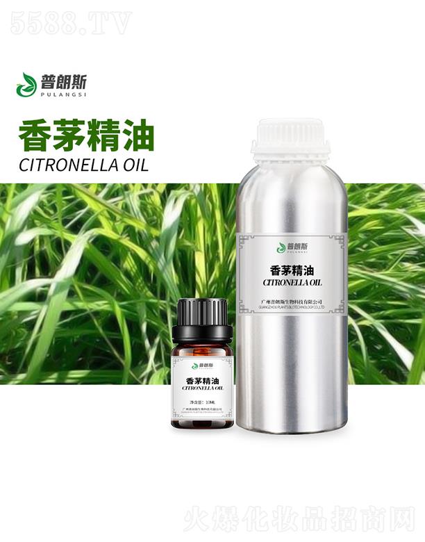 ����˹��é����