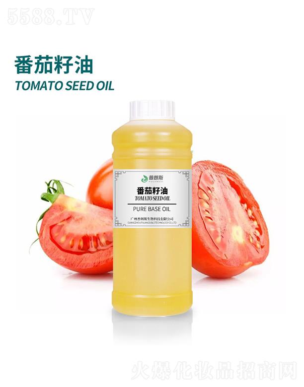 ����˹��������