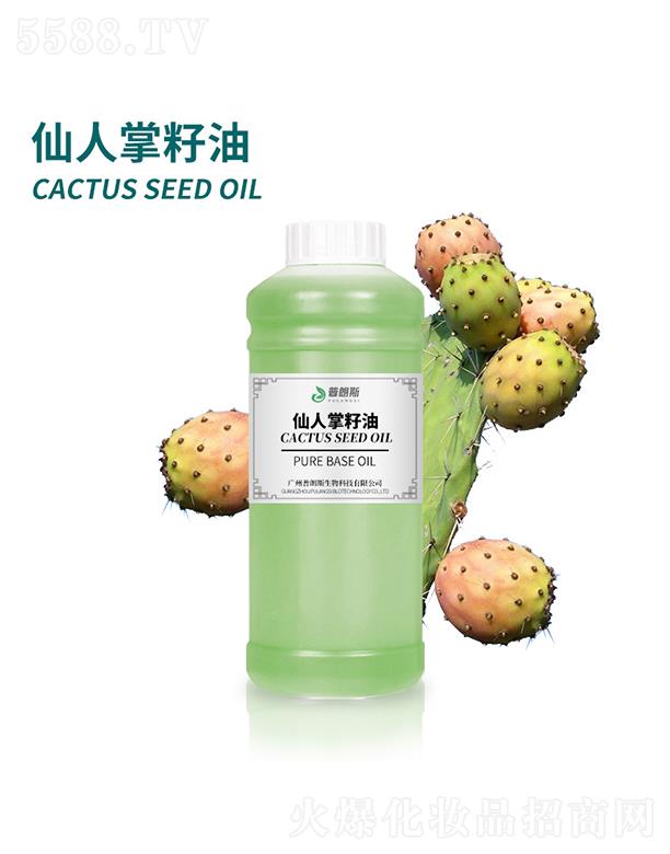 ����˹����������