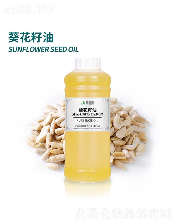 ����˹��������