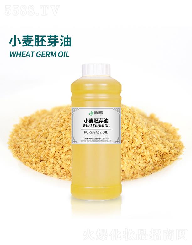 ����˹С����ѿ��