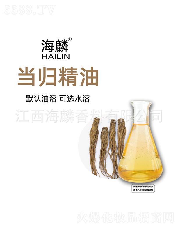 ���뮔�w����