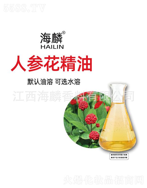 �����˅�������