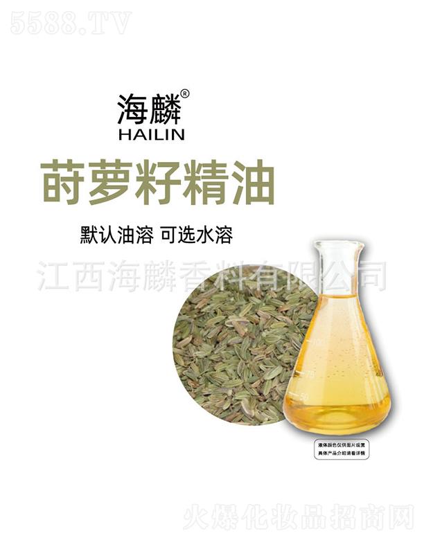 �����P�}�Ѿ���