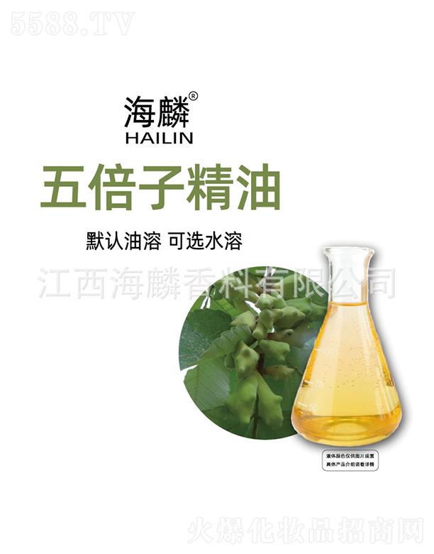 �����屶�Ӿ���