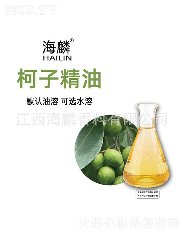 ������Ӿ���