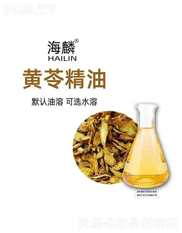 �����S�߾���